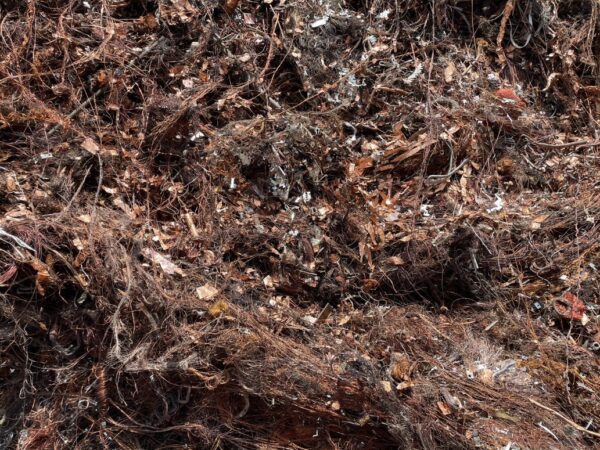 Copper Scrap Birch Cliff