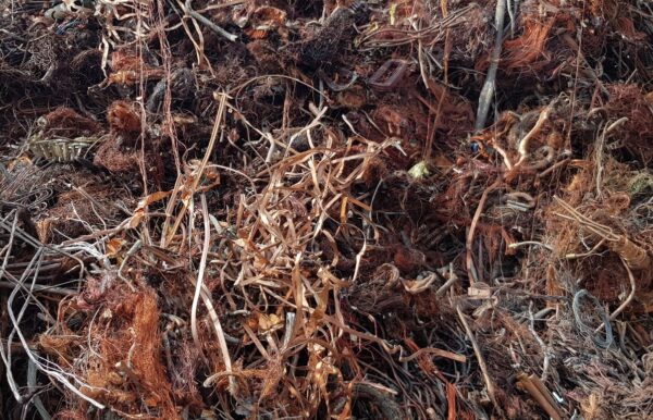 Copper Scrap Birch Cliff - Image 8