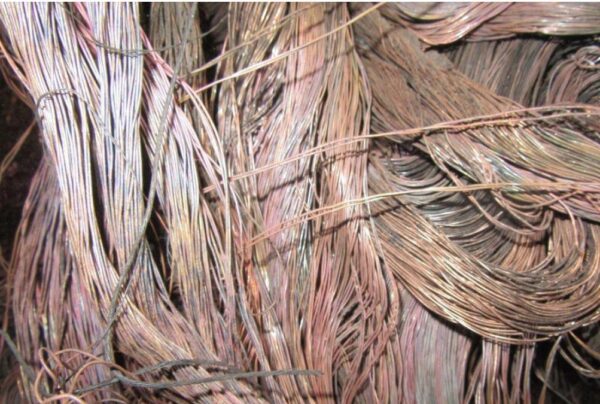 Copper Scrap Telebirch