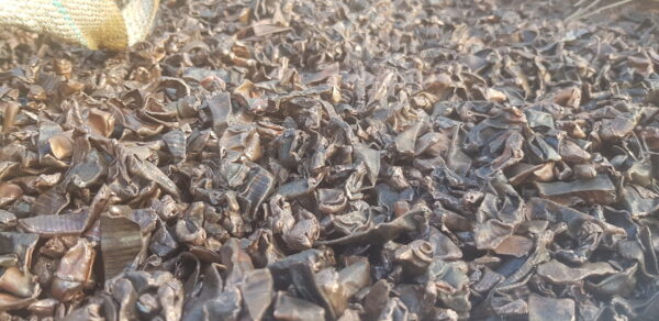 Copper Shredded Candy