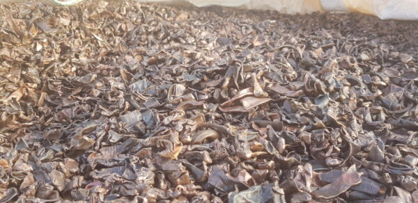 Copper Shredded Candy - Image 3