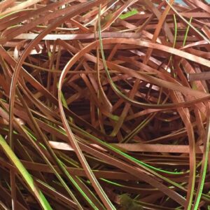 Copper Transformer Strips Enameled