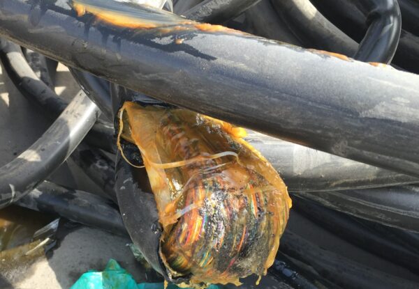 Jelly Telephone Cables - Image 2